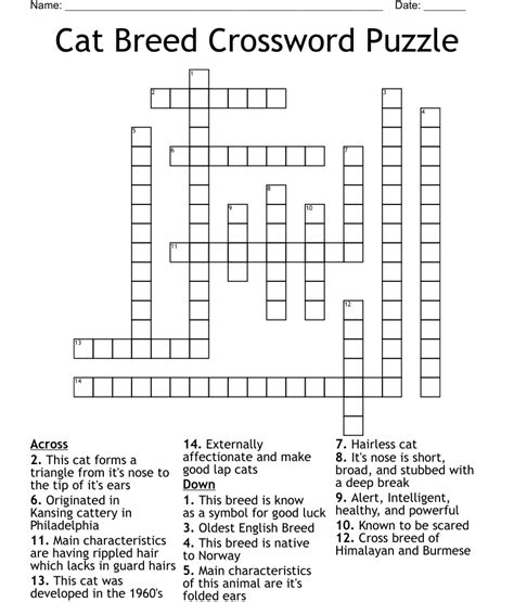 Contact information for osiekmaly.pl - The Crossword Solver found 30 answers to "cat breed shabby sounding name", 10 letters crossword clue. The Crossword Solver finds answers to classic crosswords and cryptic crossword puzzles. Enter the length or pattern for better results. Click the answer to find similar crossword clues . Enter a Crossword Clue.